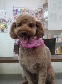 大政　ハッピーちゃん1