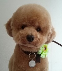大平　リックちゃん1