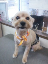 新宅　ククちゃん1