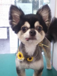 門脇　るいちゃん1