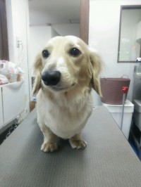 苅谷　ロッドちゃん1
