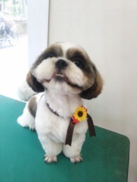 北島　ミウちゃん1