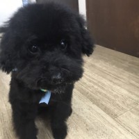 高橋ゲンキ君1