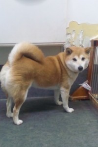 榎本　ななちゃん1