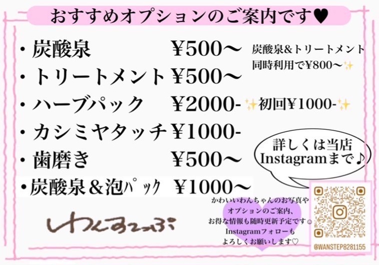 おすすめのオプション